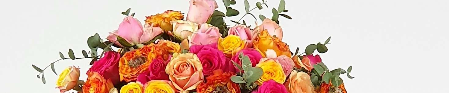 Klicken um die Schaltflächen zu zeigen oder zu verbergen