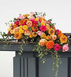 1: 20230325_113725_resized (2)